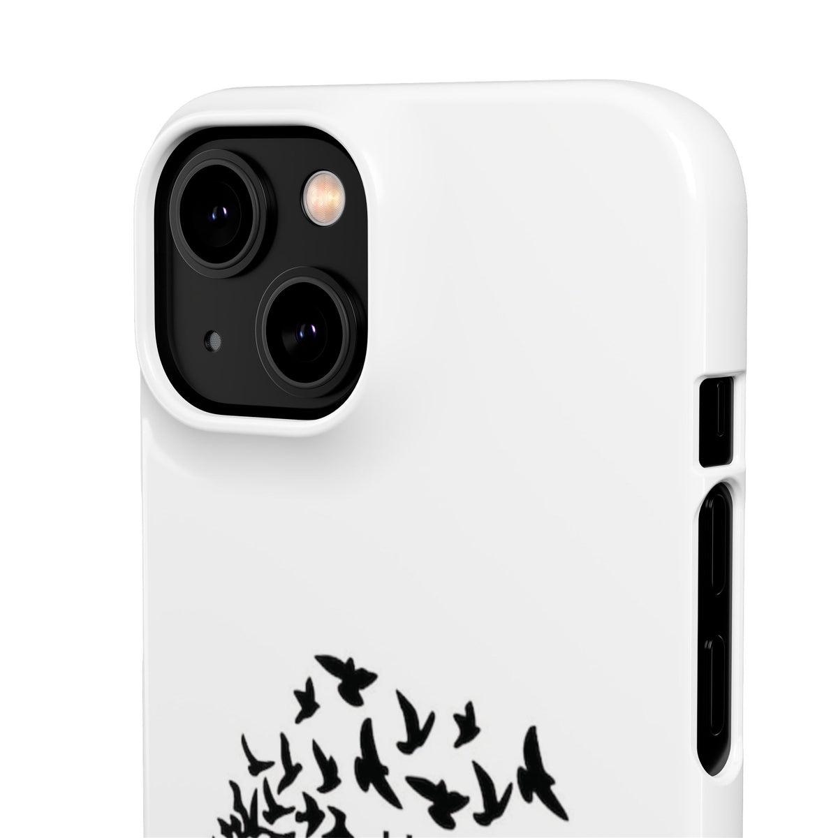 Snap Cases