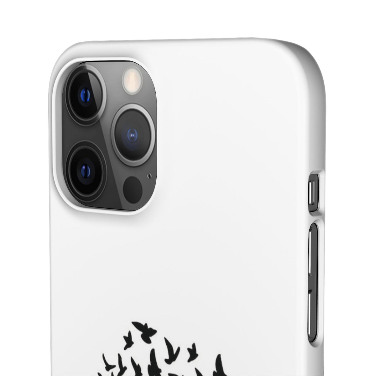 Snap Cases