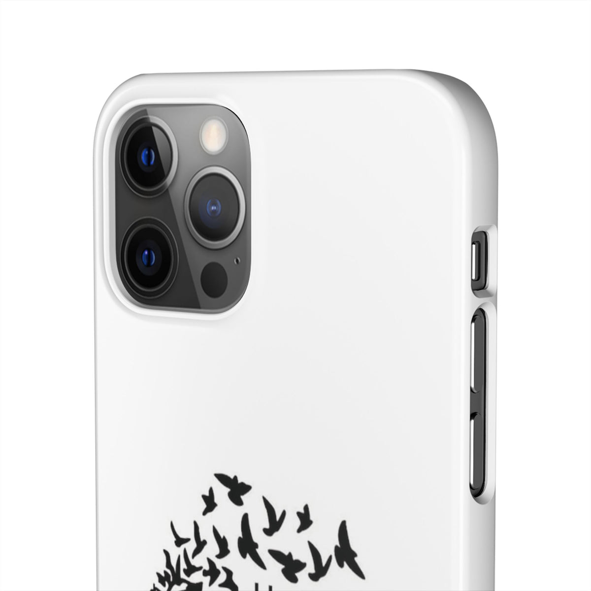 Snap Cases