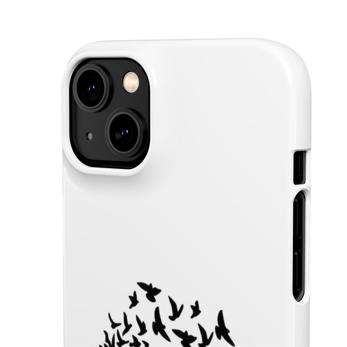 Snap Cases