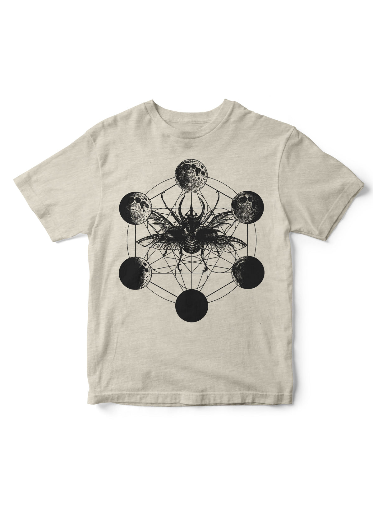 Beetle Moon Phrases Youth