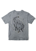 Stegosaurus Youth